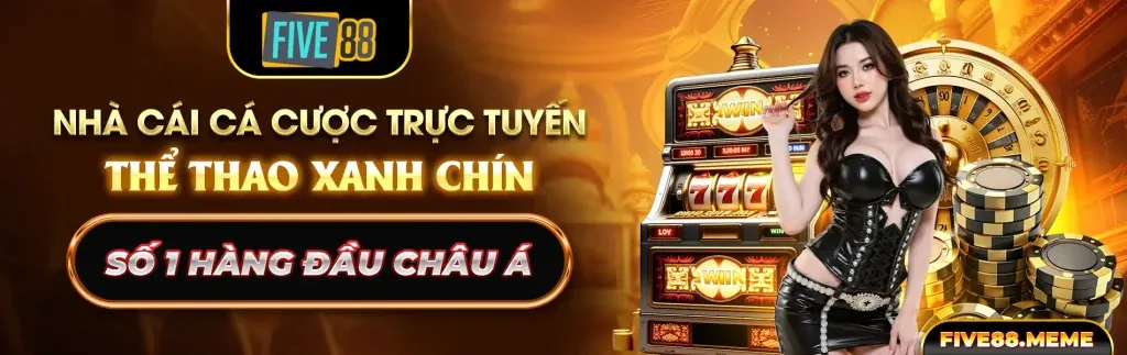 Hỗ trợ toàn diện